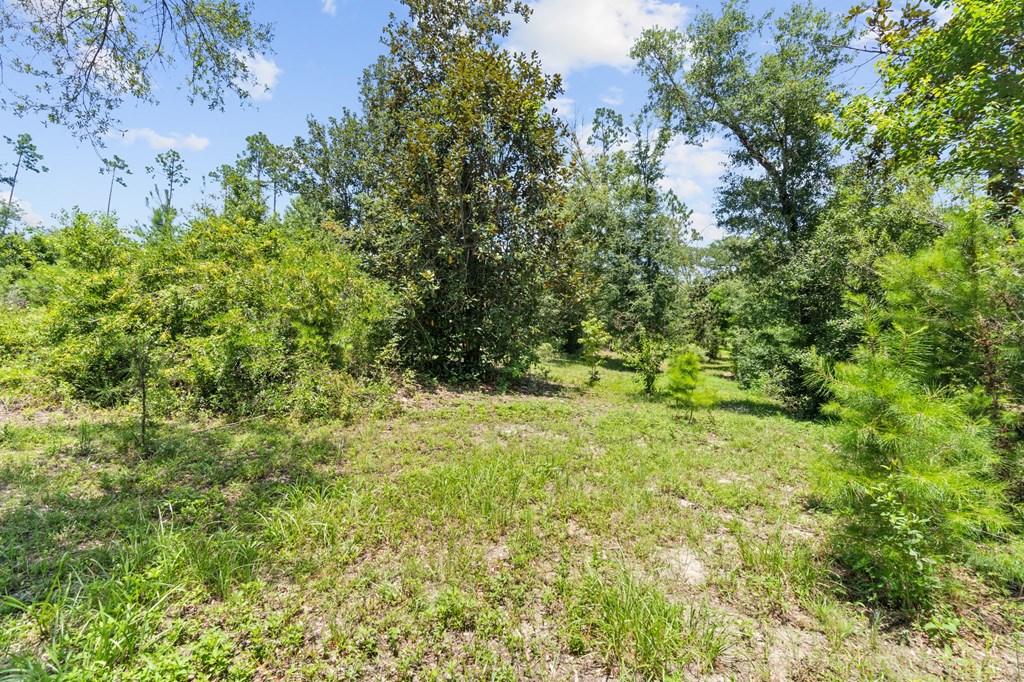 2701 Se Cypress Point Rd, 32449