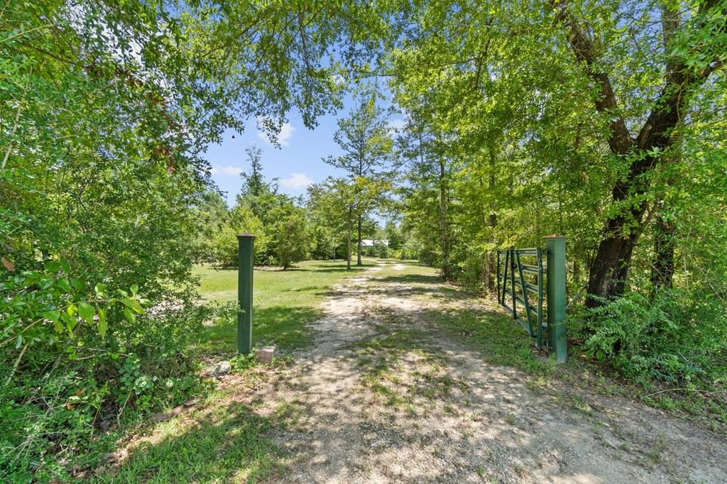 2701 Se Cypress Point Rd, 32449