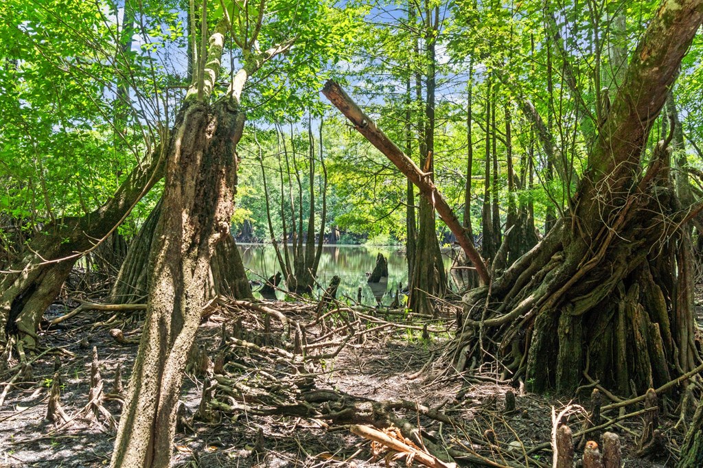 2701 Se Cypress Point Rd, 32449