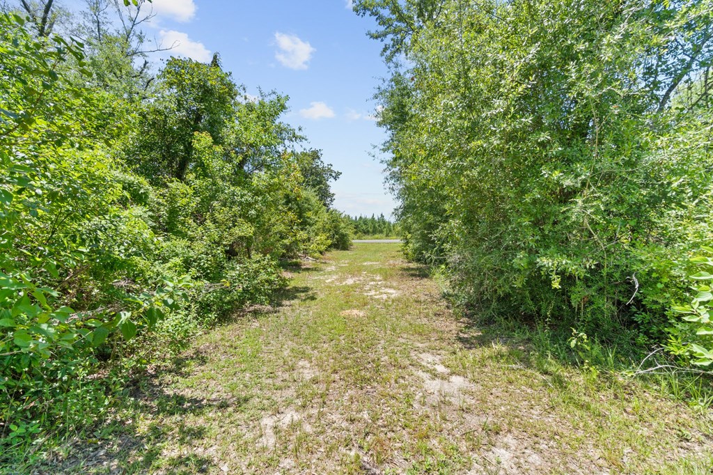 2701 Se Cypress Point Rd, 32449