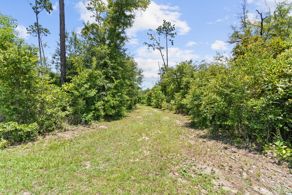 2701 Se Cypress Point Rd, 32449