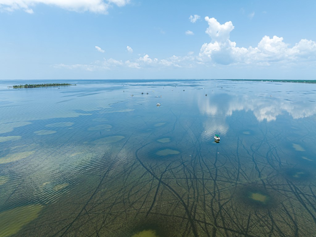 185 Bent Tree Rd, 32456