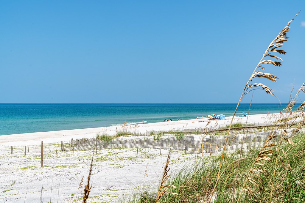 185 Bent Tree Rd, 32456