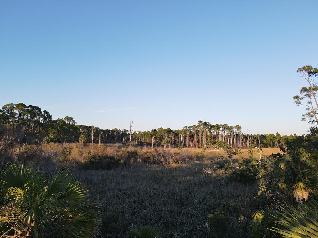 Lot 2 Cr 30-a, Port St. Joe 32456
