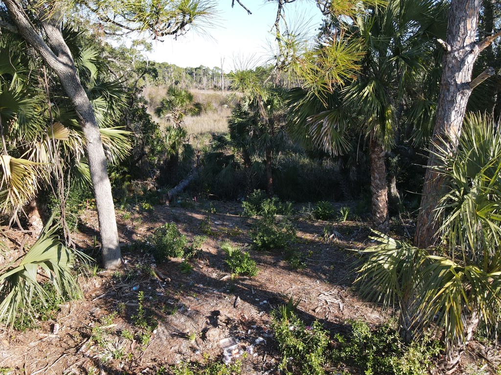 Lot 2 Cr 30-a, Port St. Joe 32456