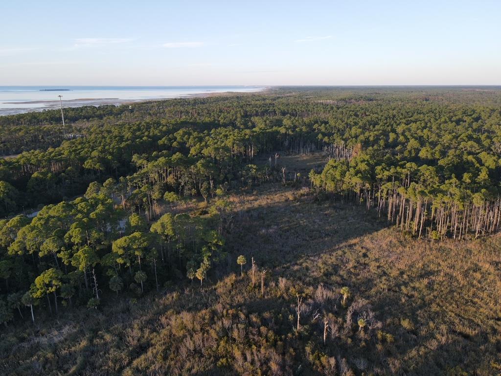Lot 2 Cr 30-a, Port St. Joe 32456