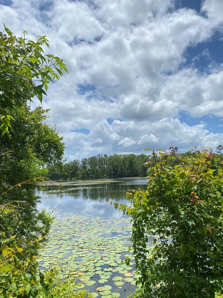 Lot 1 Land Dr, 32465