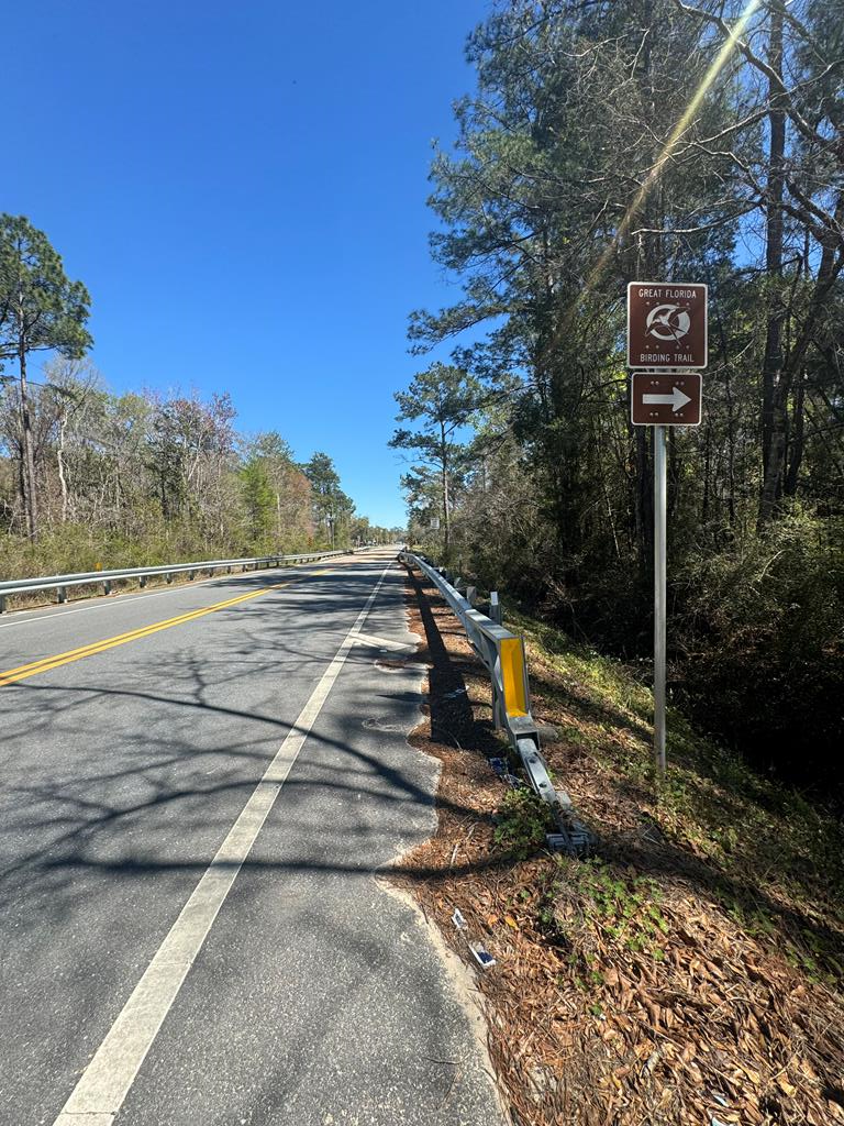 159 S Murphy Rd, 32456