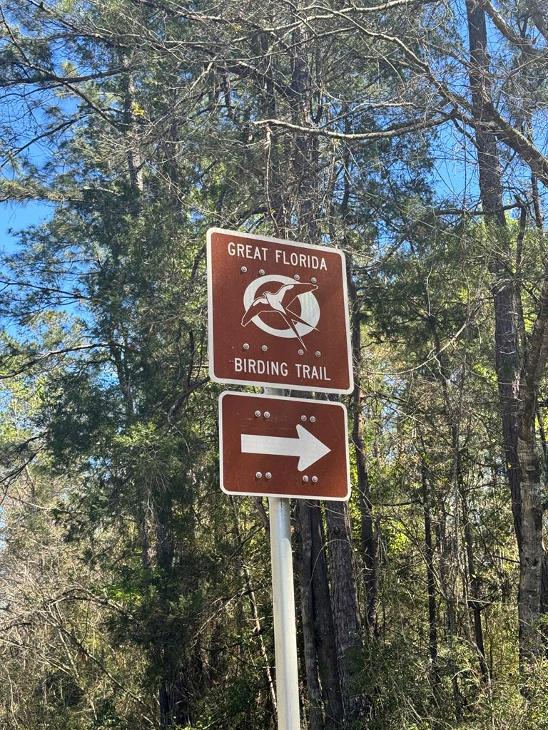 159 S Murphy Rd, 32456