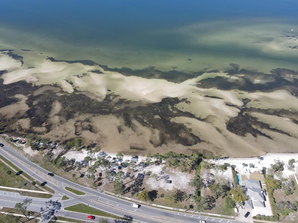 214 8th St, Port St. Joe 32456