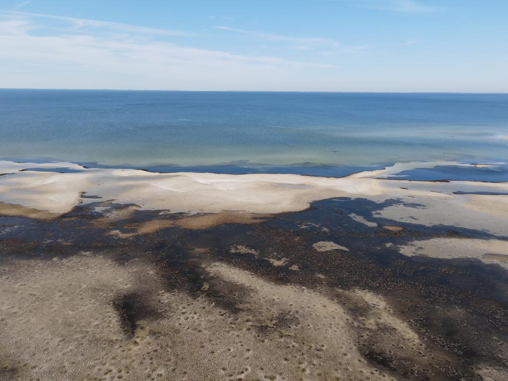 221 8th St # C, Port St. Joe 32456 Unit: C