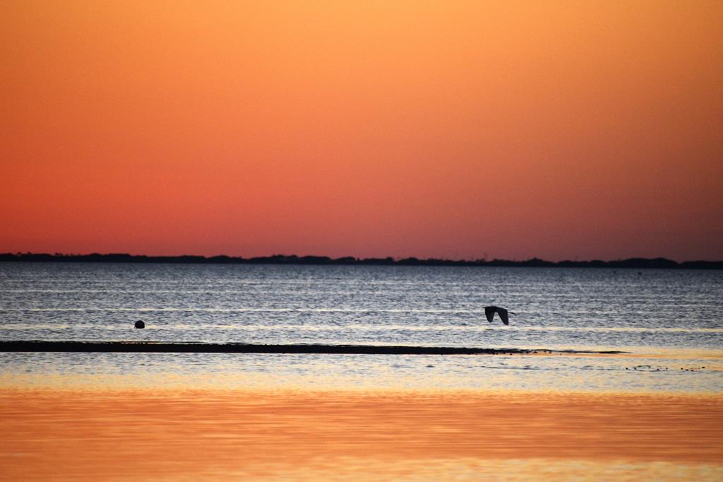 362 Madison St, Port St. Joe 32456