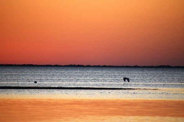 362 Madison St, Port St. Joe 32456