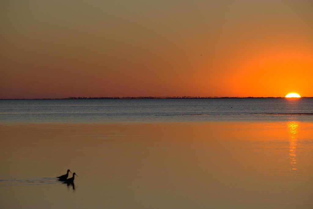 362 Madison St, Port St. Joe 32456