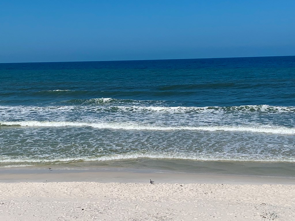 194 Antilles Dr, Port St. Joe 32456