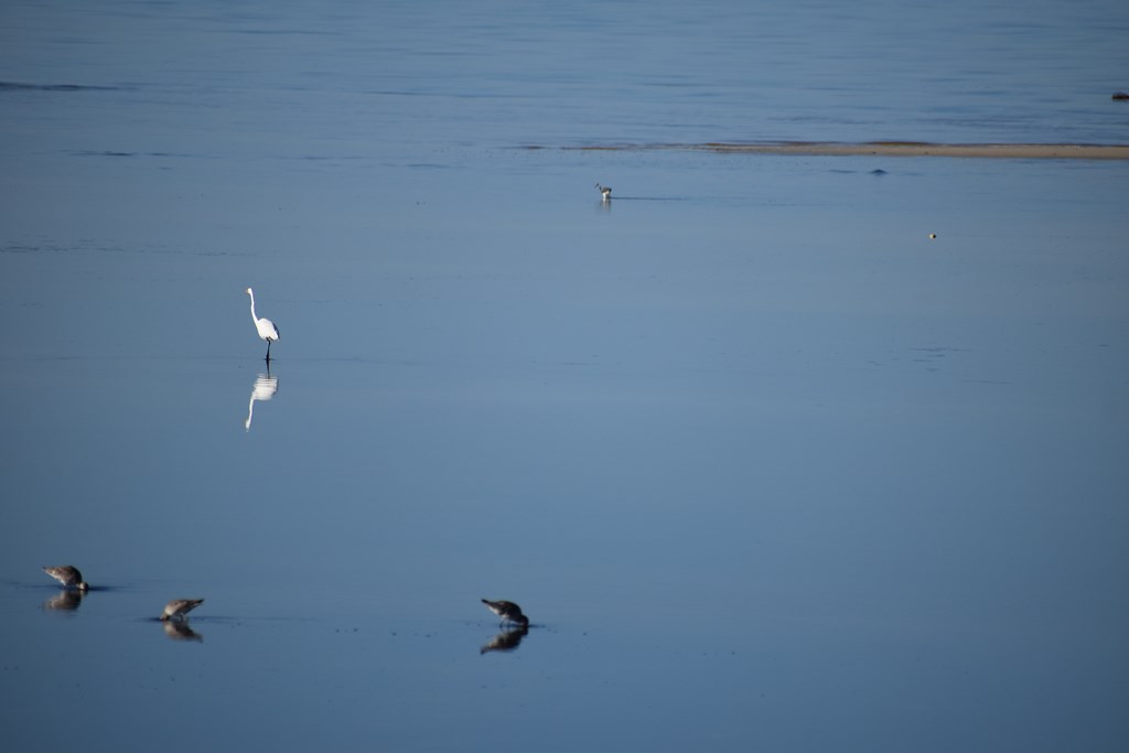 131 Colors Way, Port St. Joe 32456