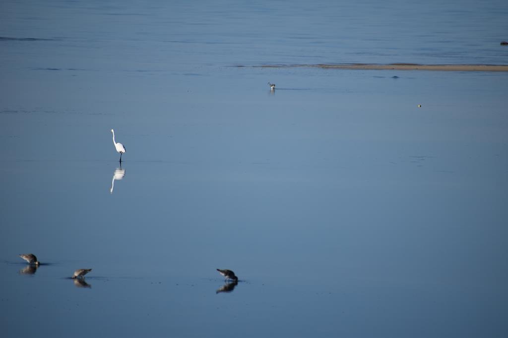 Lot 21 Palm Breeze Way, Port St. Joe 32456