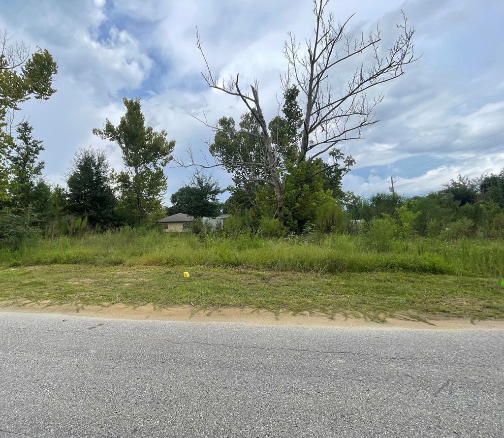 189 Pridgeon Rd, 32465