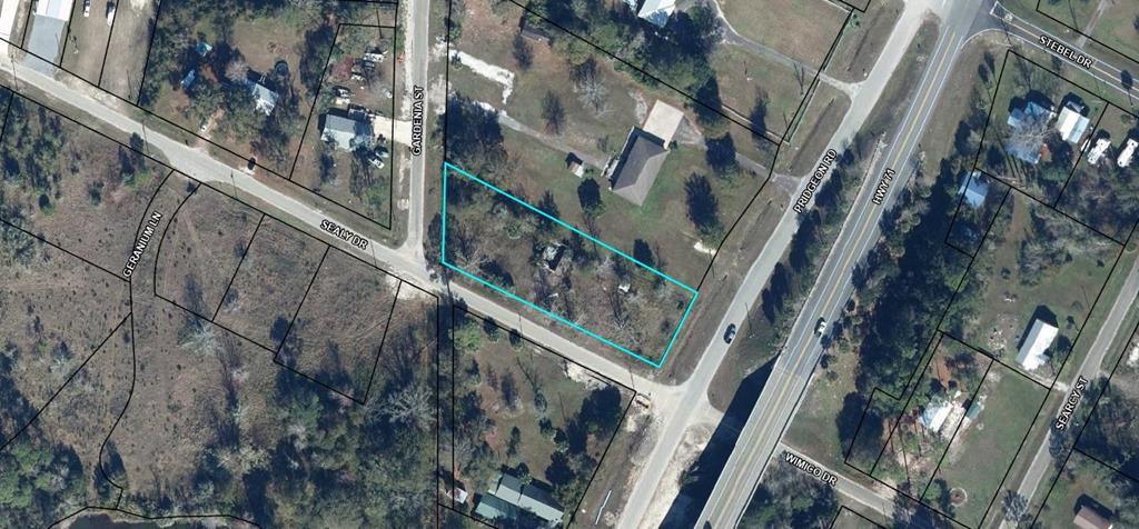 189 Pridgeon Rd, 32465