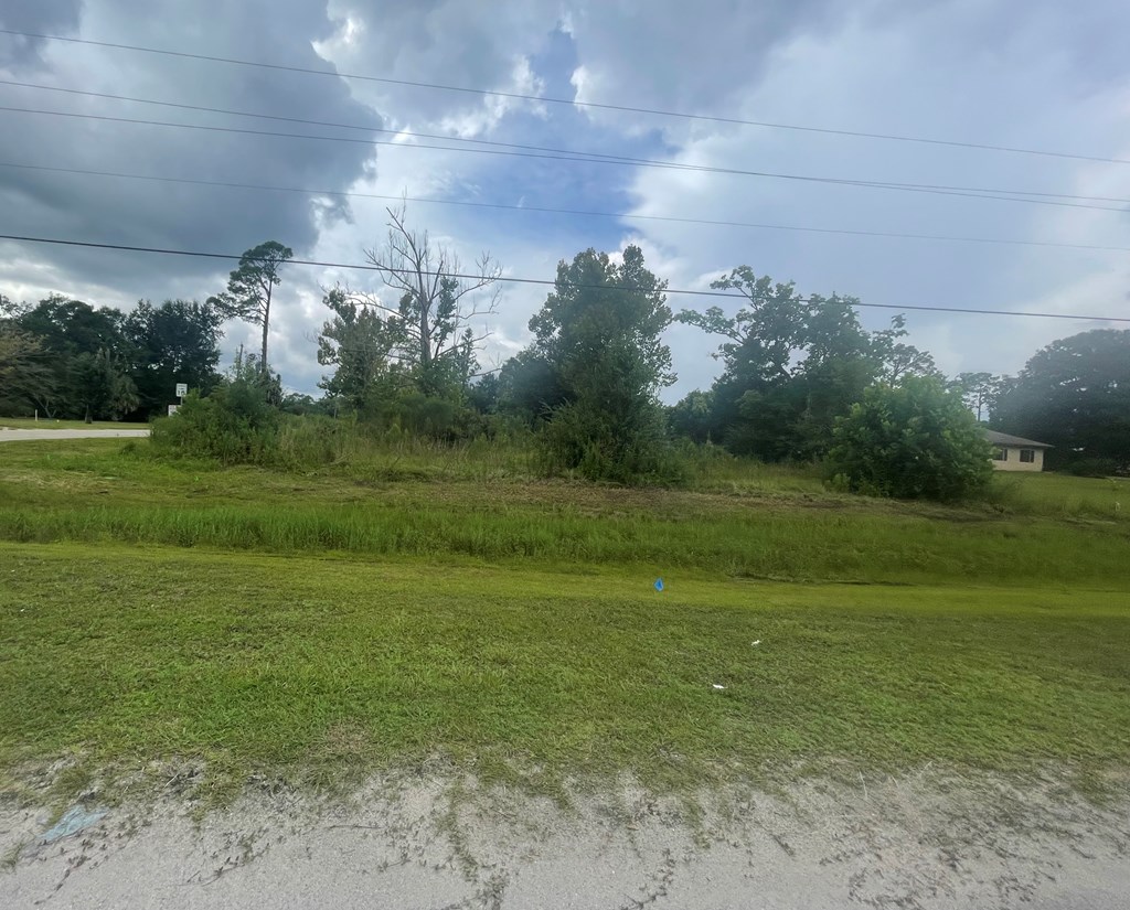 189 Pridgeon Rd, 32465