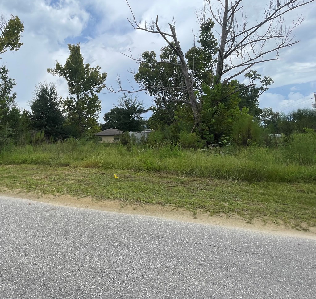 189 Pridgeon Rd, 32465