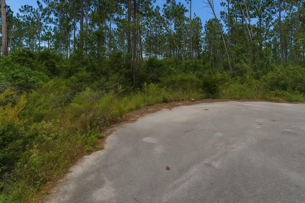 180 Alexis Way, 32465