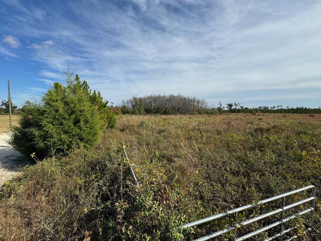 40 Davis Peacock Rd, 32449