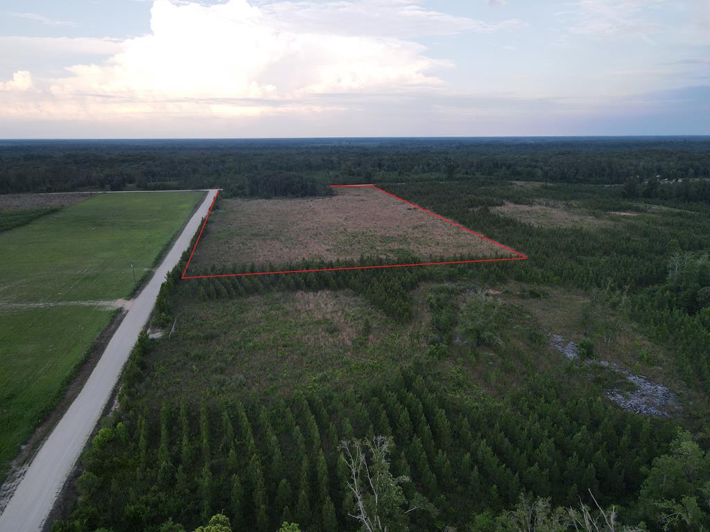 40 Davis Peacock Rd, 32449