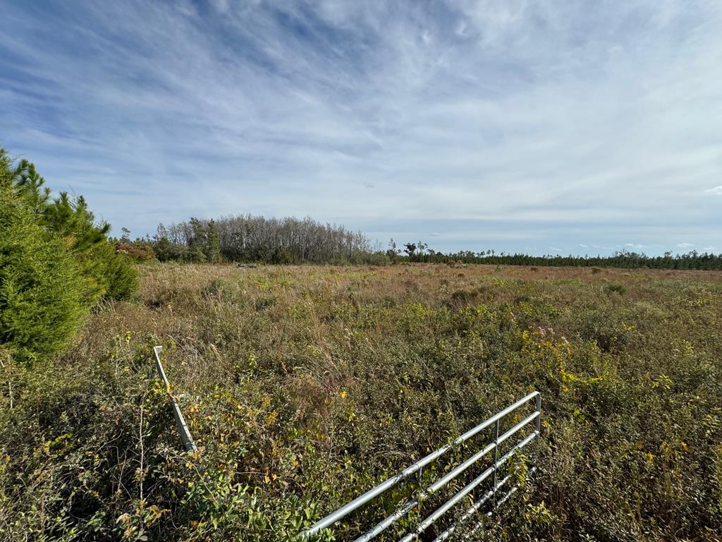 40 Davis Peacock Rd, 32449