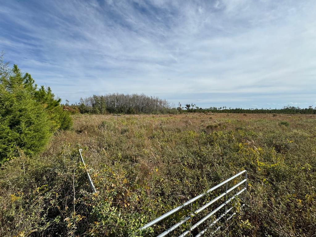 40 Davis Peacock Rd, 32449