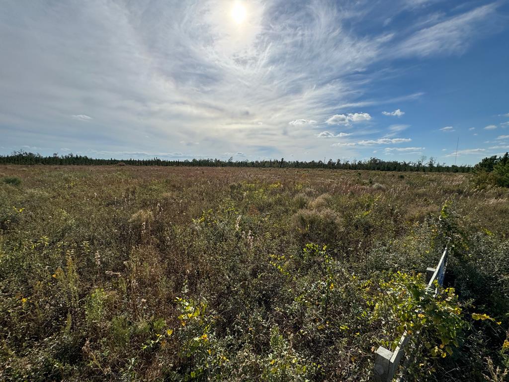 40 Davis Peacock Rd, 32449