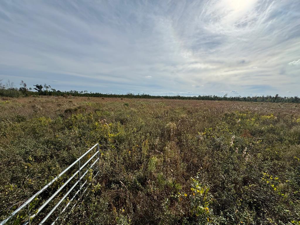 40 Davis Peacock Rd, 32449