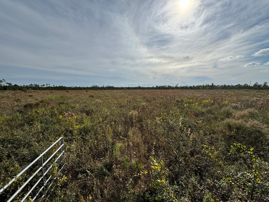 40 Davis Peacock Rd, 32449