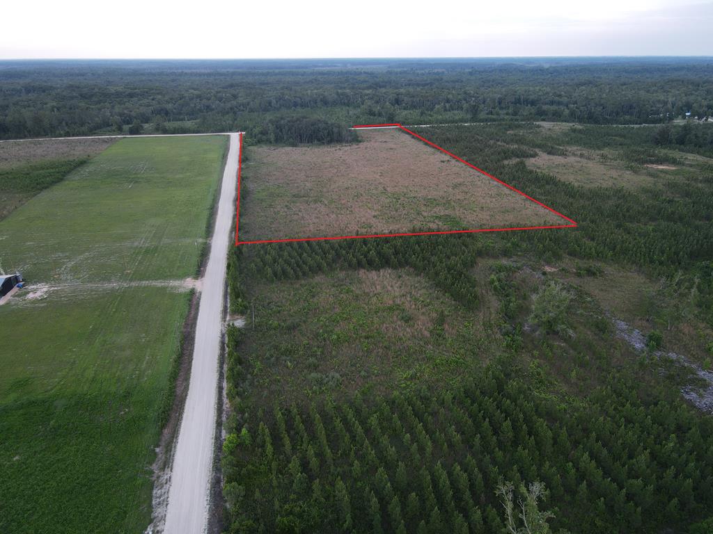 40 Davis Peacock Rd, 32449