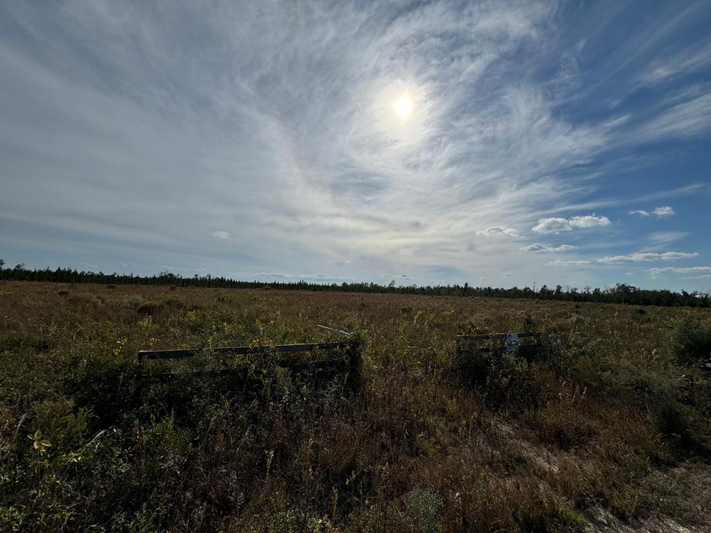 40 Davis Peacock Rd, 32449