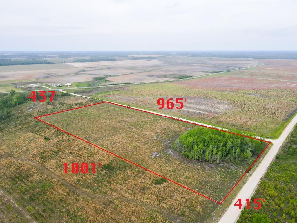 40 Davis Peacock Rd, 32449