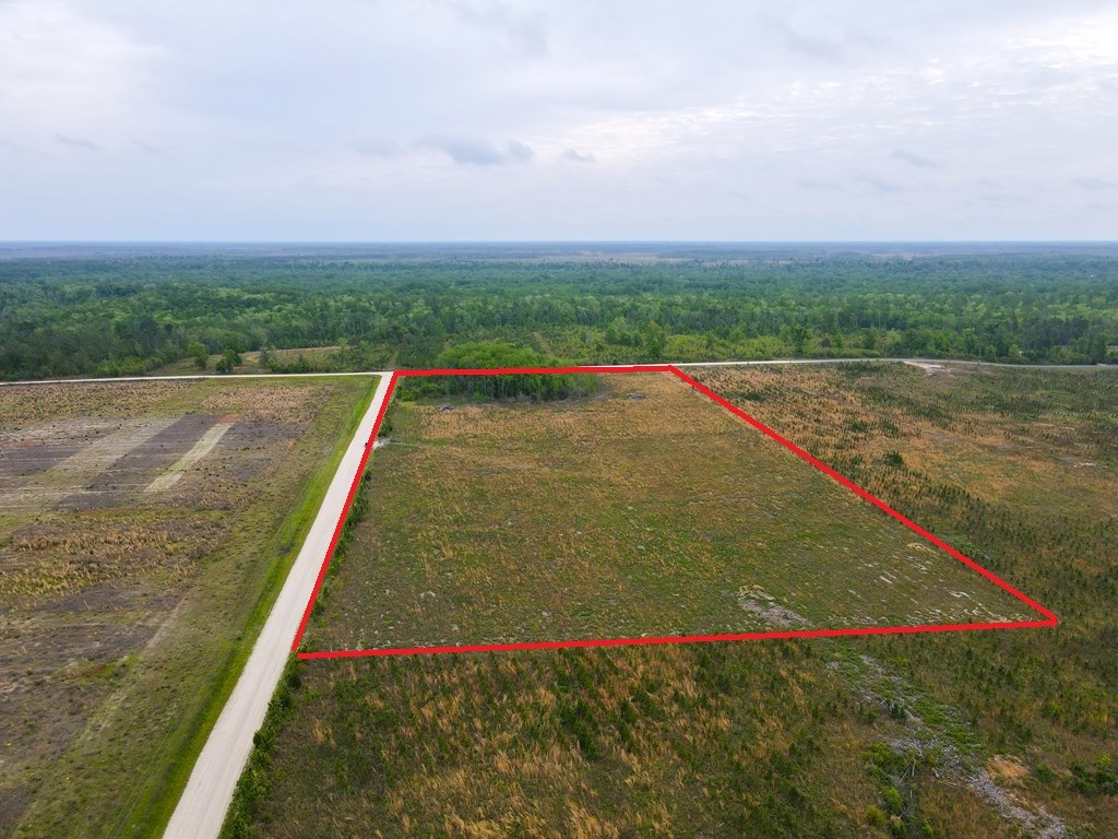 40 Davis Peacock Rd, 32449