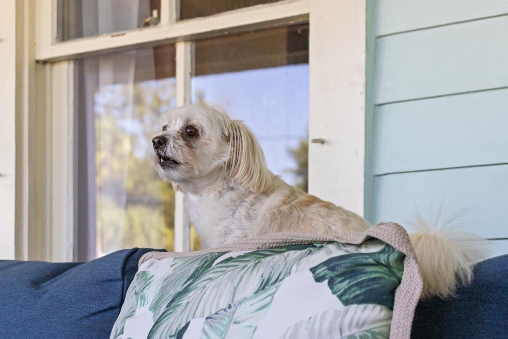 201 8th St, Port St. Joe 32456