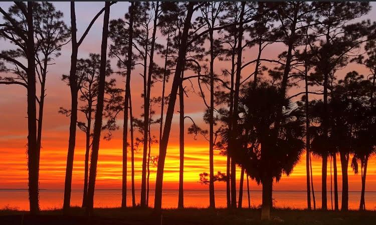 201 8th St, Port St. Joe 32456