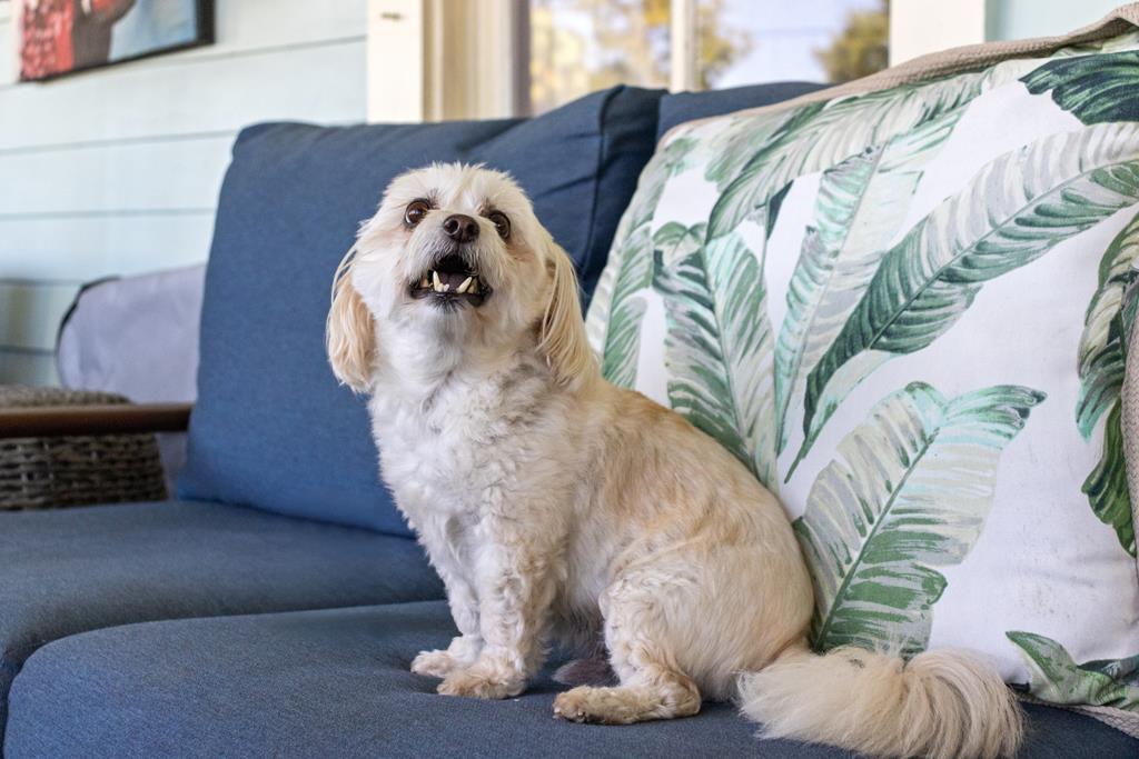 201 8th St, Port St. Joe 32456