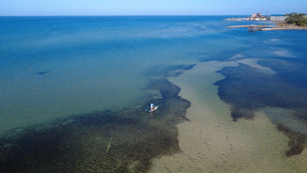 627 Madison St, Port St. Joe 32456