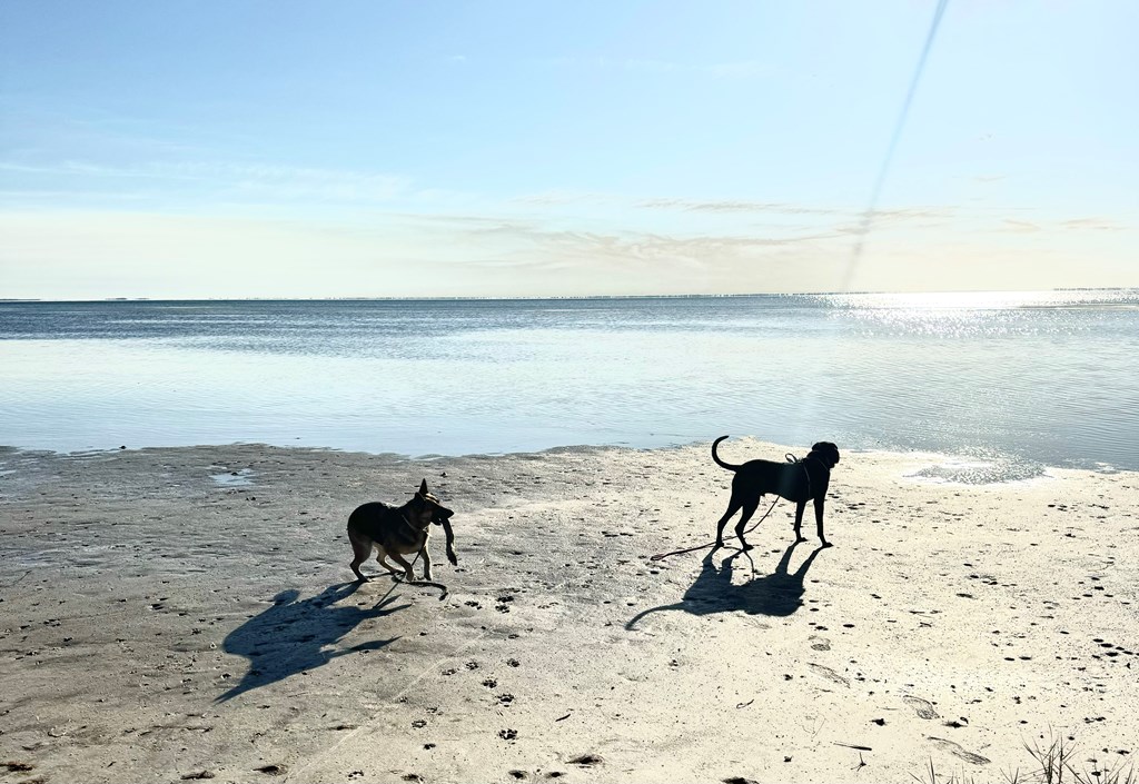 627 Madison St, Port St. Joe 32456