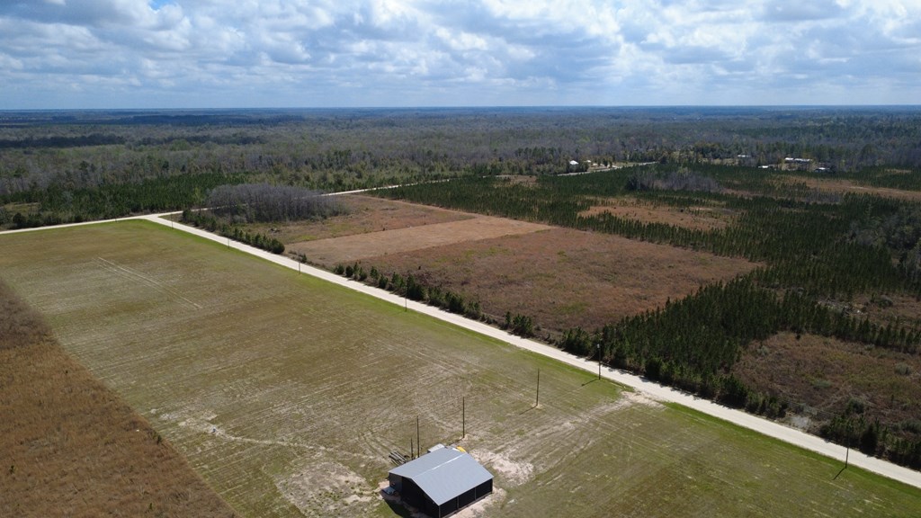 40 Davis Peacock Rd, 32449