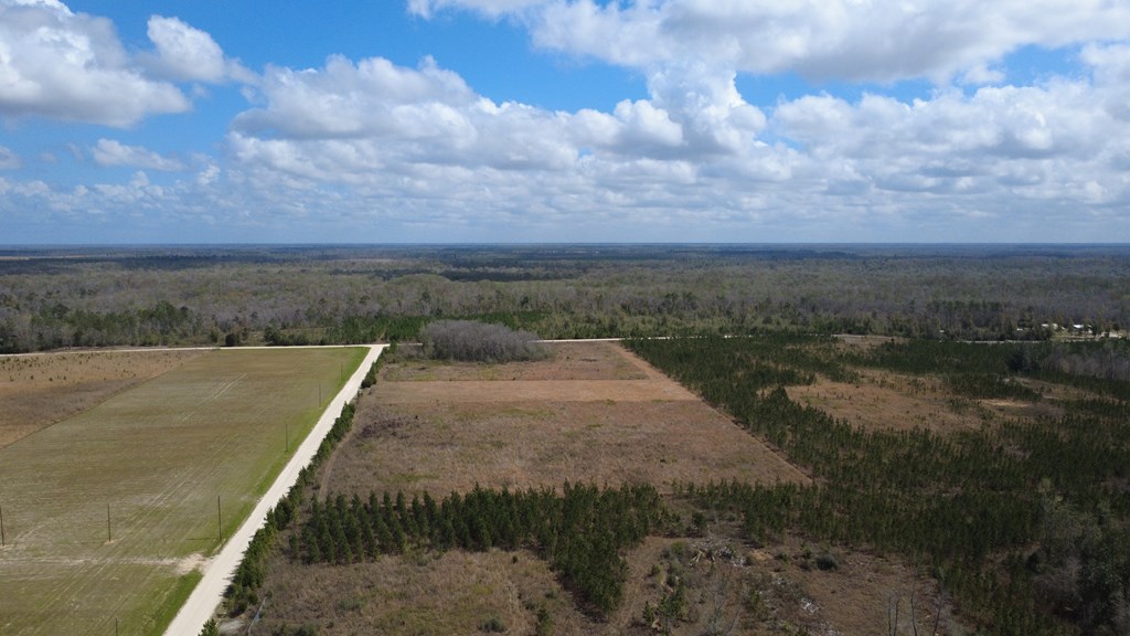 40 Davis Peacock Rd, 32449