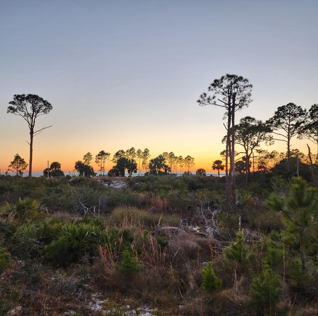 342 Sea Grove Way, Port St. Joe 32456