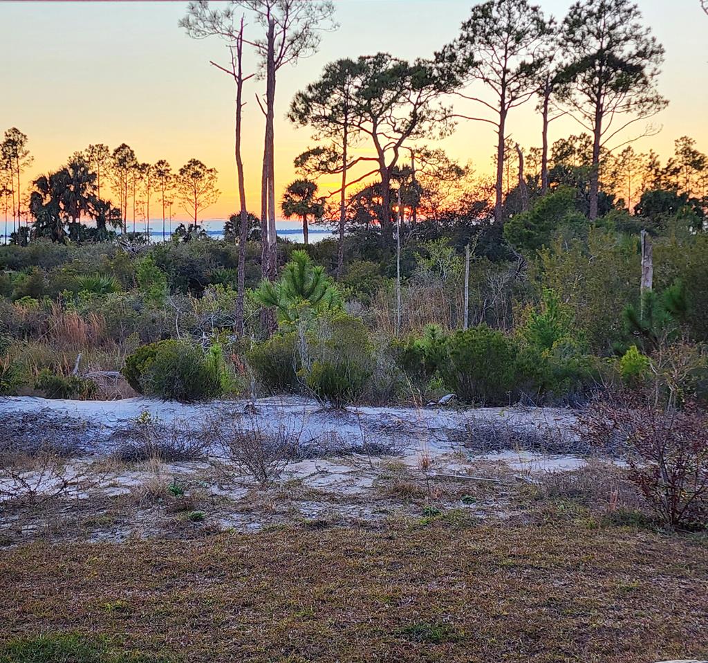 342 Sea Grove Way, Port St. Joe 32456