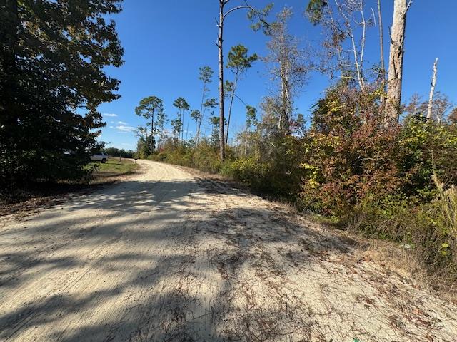 Sandy dirt road curves through a wooded vacant lot bordered by tall trees and brush.