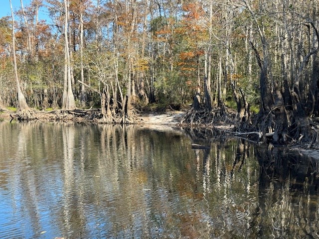 Wooded shoreline along a calm creek, with trees reflected in the water.