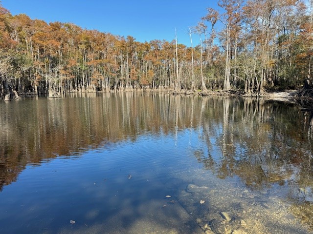 Wooded shoreline reflected in calm water, with rocks visible beneath the shallows.
