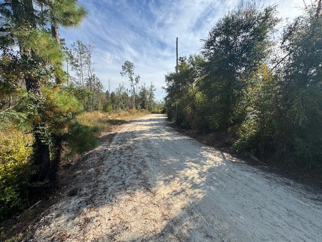 Sandy dirt road winding through a wooded rural lot.